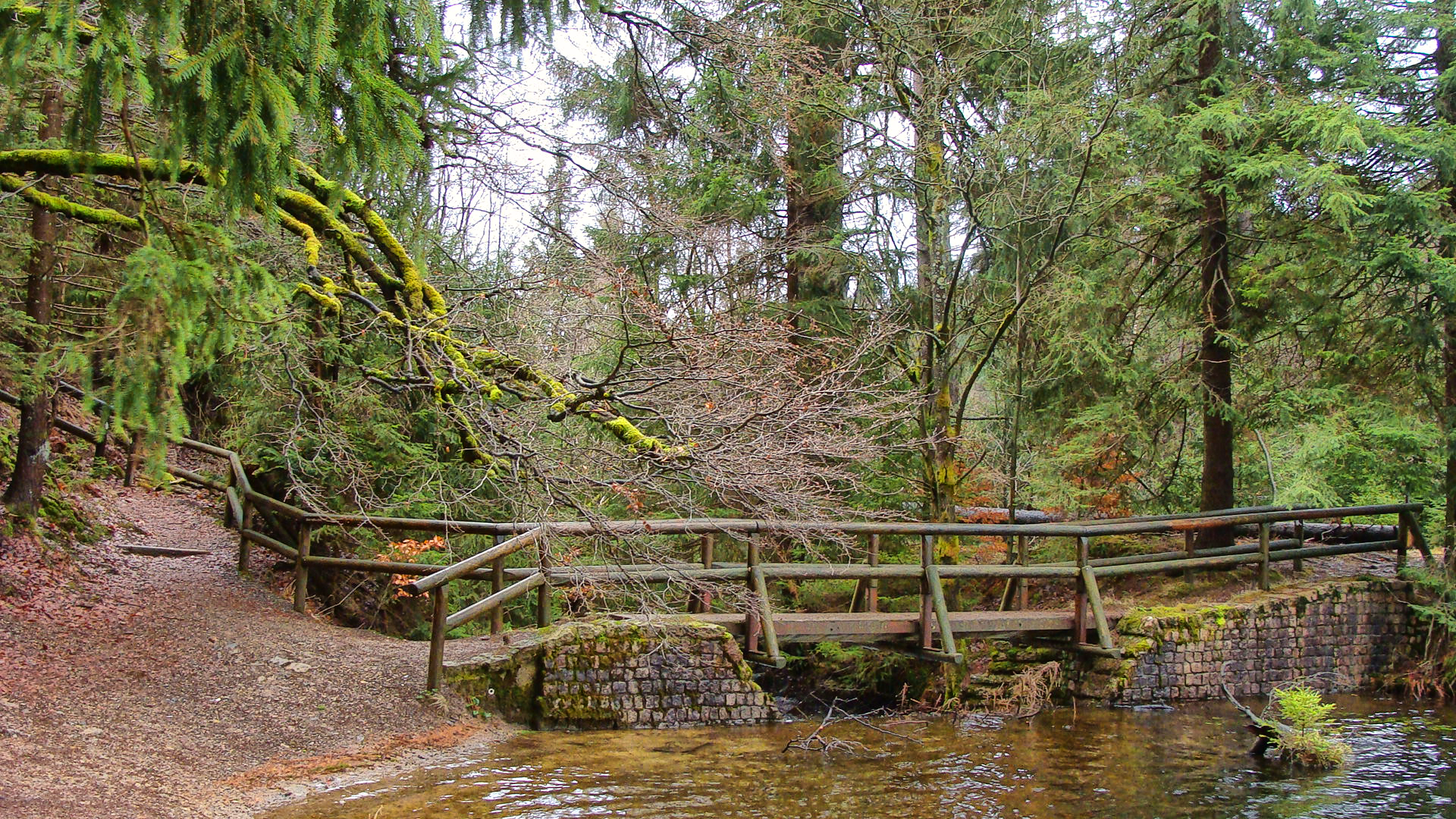 Silberteich am Naturmythenpfad Braunlage