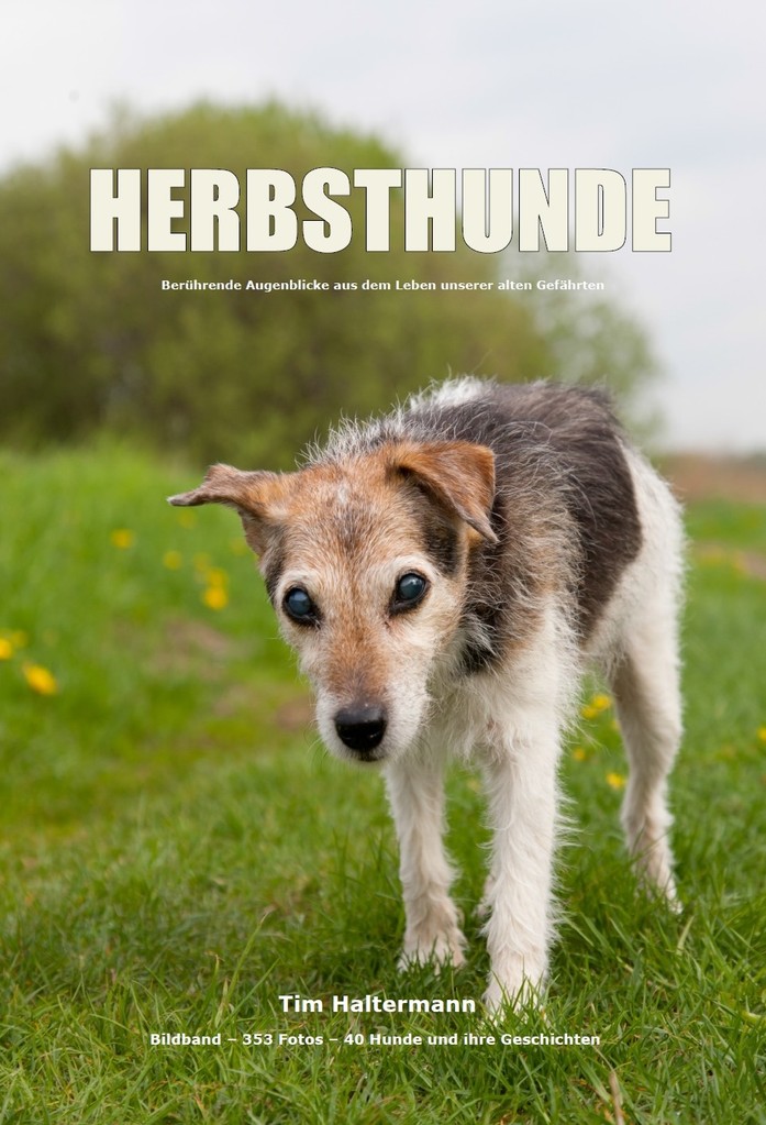 Omihunde Omihunde