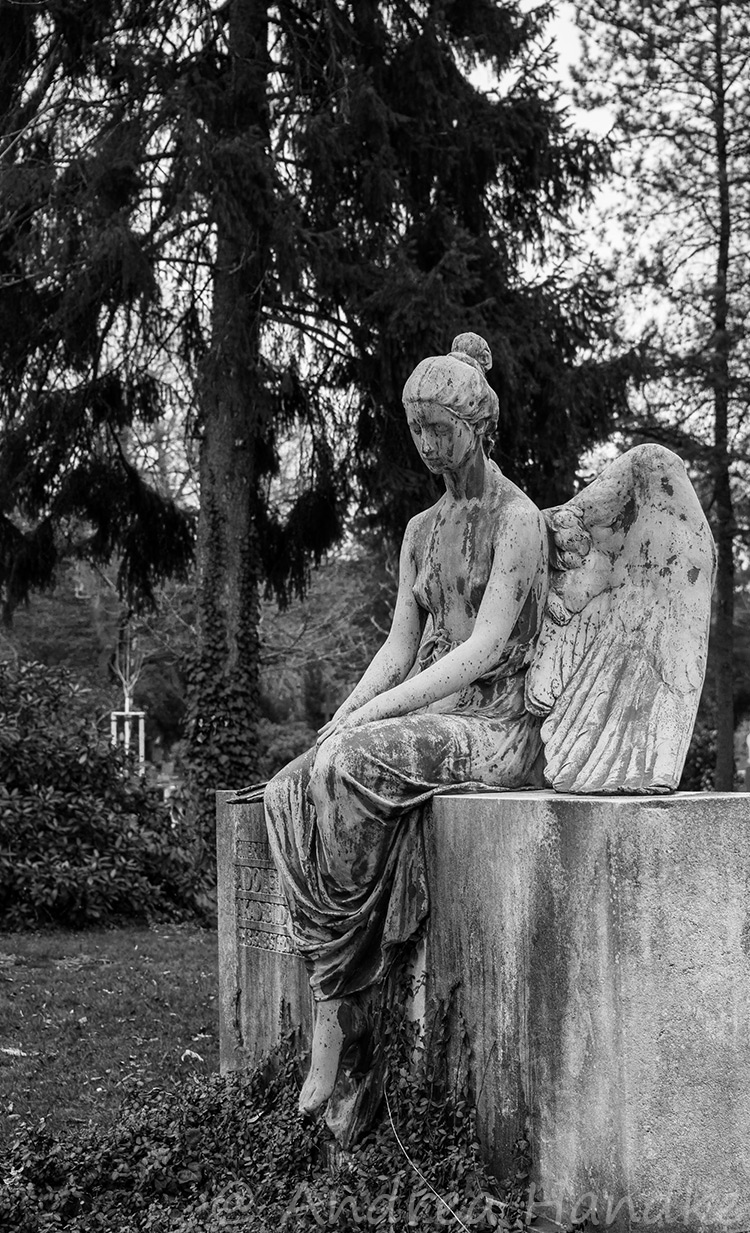 Dresden, Johannisfriedhof