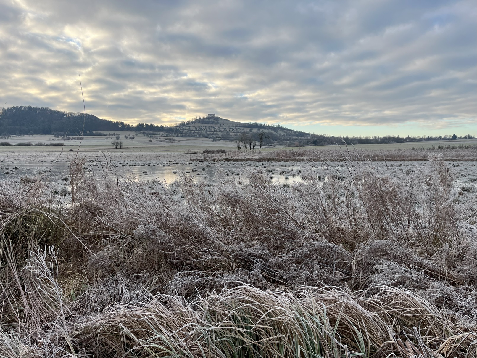 Wiesbrunnen Januar 2025 (Bild: Monika Fleischer)