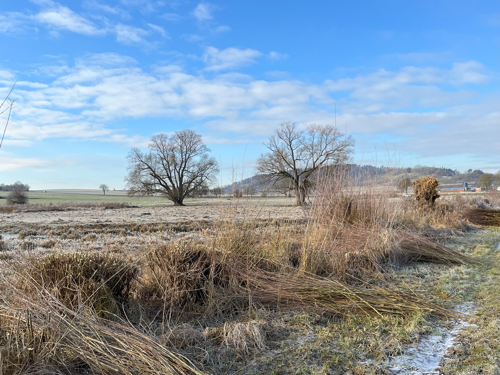 Wiesbrunnen Januar 2025 (Bild: Monika Fleischer)
