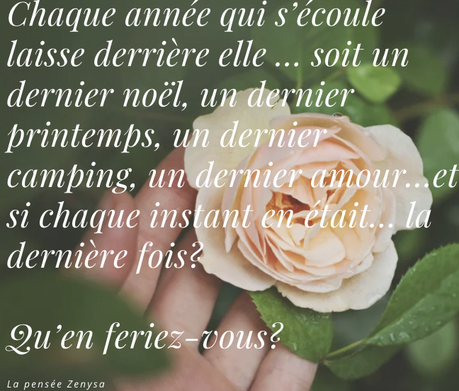 La pensée Zenysa