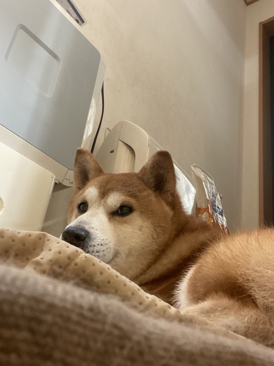 まだまだ！今日も暑いですね！