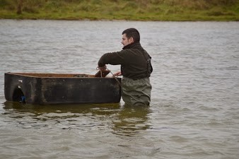 Opération de retrait des canards "appelants" du plan d'eau
