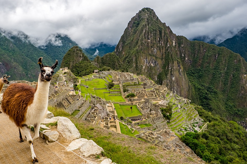 Machu Picchu mit Lama