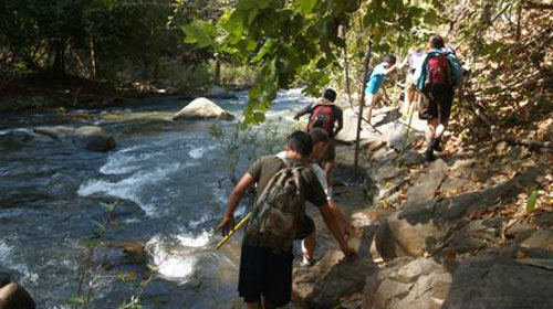 Trekking Tour in the rain forest