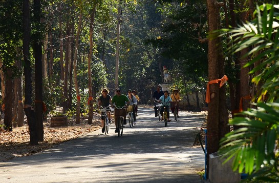 Bicycle Tour