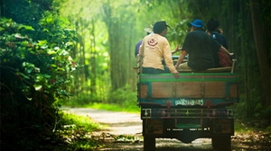 Countryside Tractor Tour