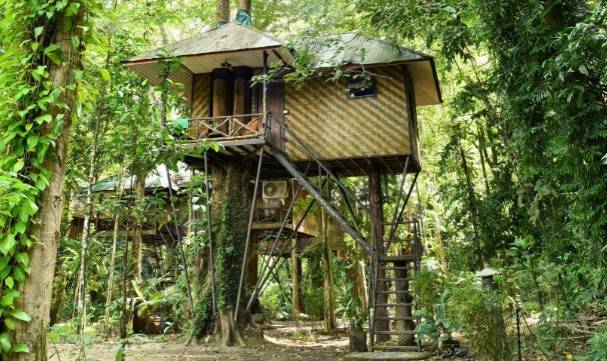 Khao Sok Nature Resort Treehouse