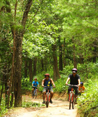 Cycling though the jungle