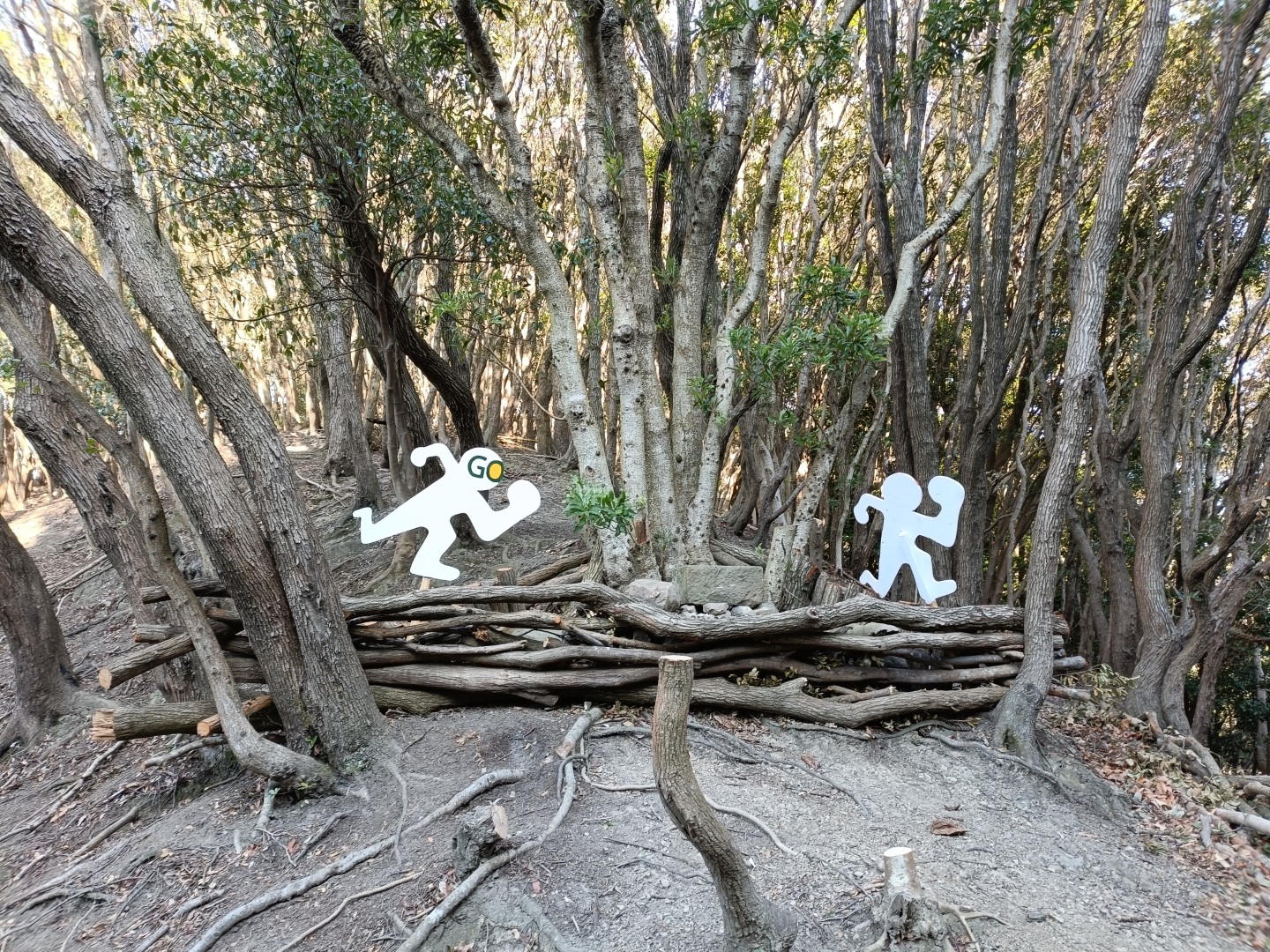 淡路島　竹原トレイル