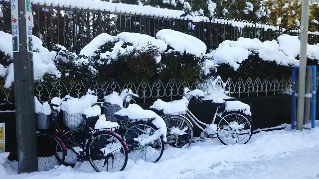 もっと雪降ってほしいなあ~
