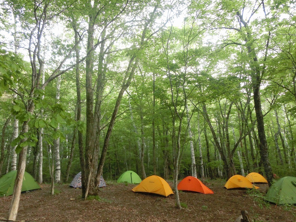 ５月　富士山麓　御坂山塊の森林浴トレイル