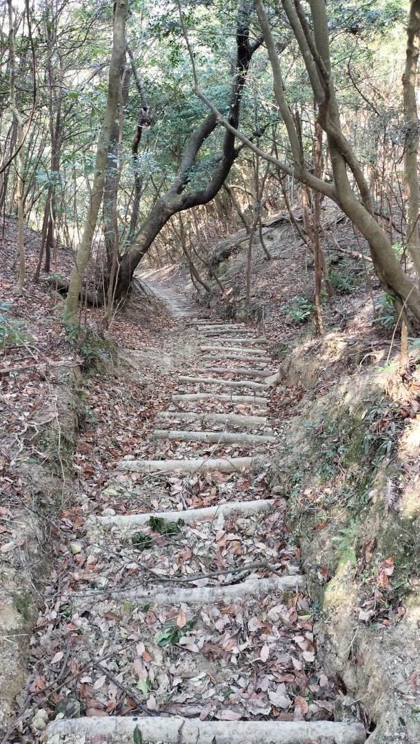 淡路島　諭鶴羽古道
