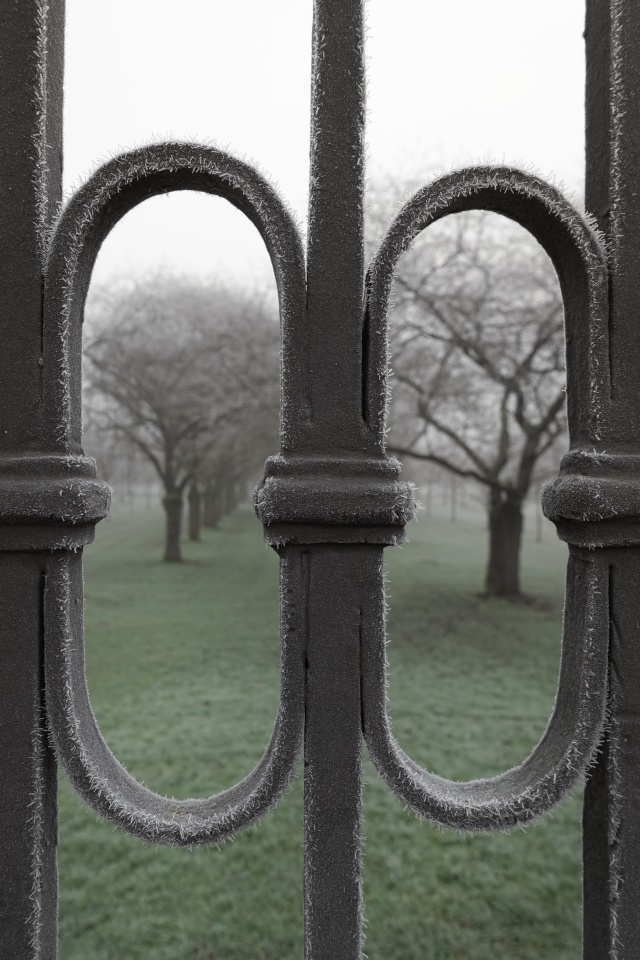Spätherbst im Schlossgarten Schwetzingen