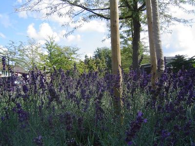 Gartenanlagen aus einer Hand Wild Gartenbau AG