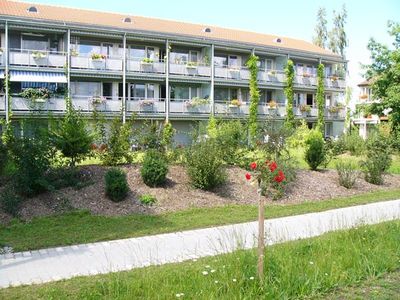 Gartenanlagen aus einer Hand Wild Gartenbau AG