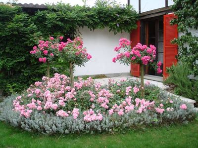 Gartenanlagen aus einer Hand Wild Gartenbau AG