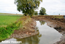 Lamperthäuser Teich, Ohmbecken - Foto: NABU Hessen