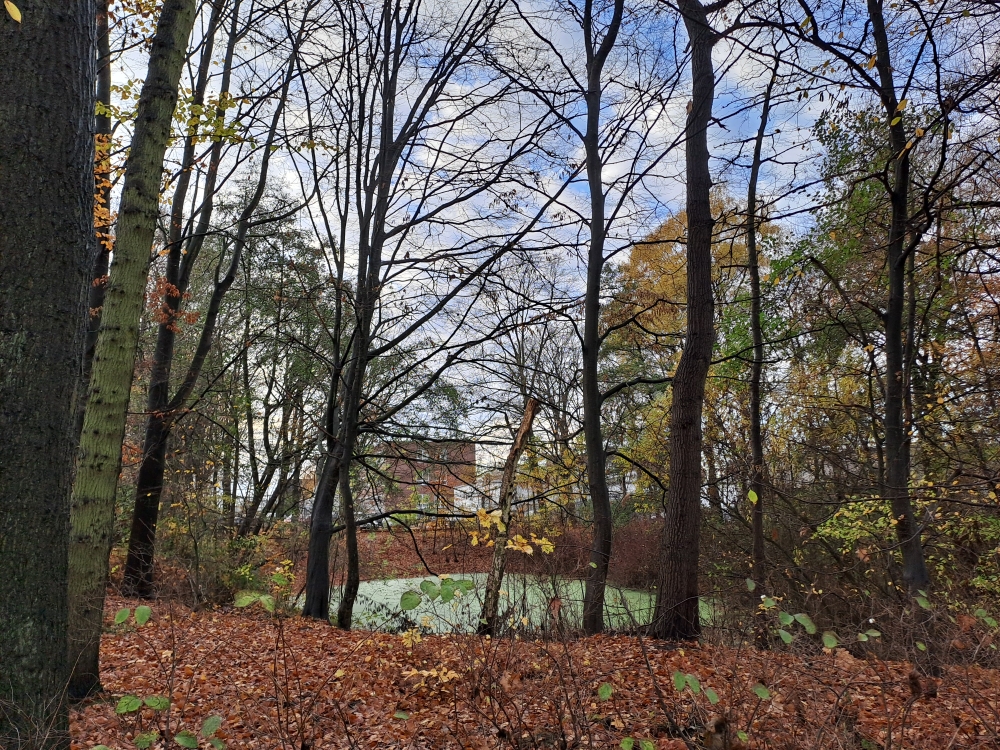 Der Teich: ein Refugium für Tiere zwischen Bahnlinie, Holstenhofweg und Gewerbe