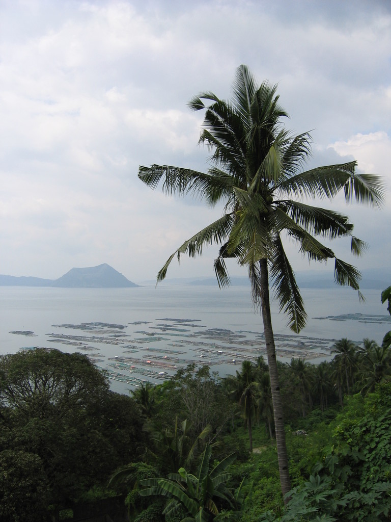 Waywaya, a short story by Sionil Jose ( 1924 2022) From northern