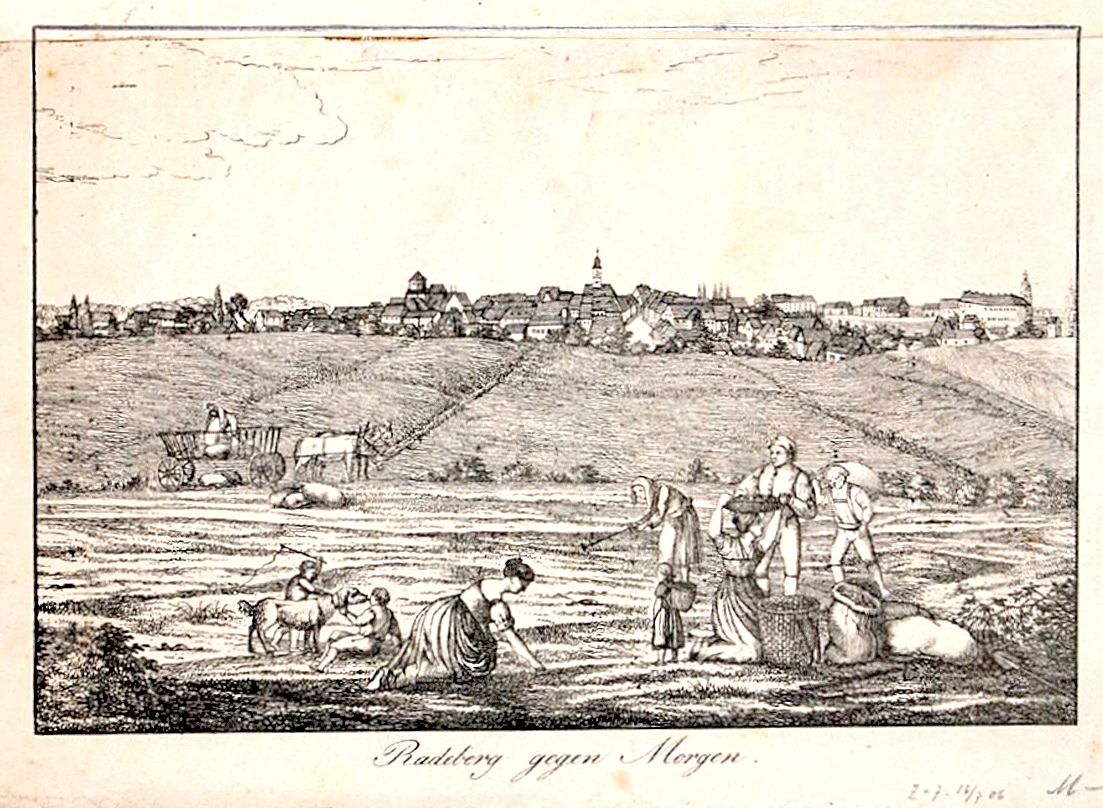 Stadtansicht Radeberg 18. Jhdt., von SO gesehen 