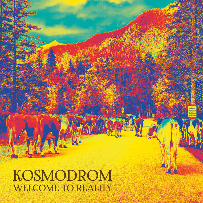 Kosmodrom (D) - Welcome to Reality