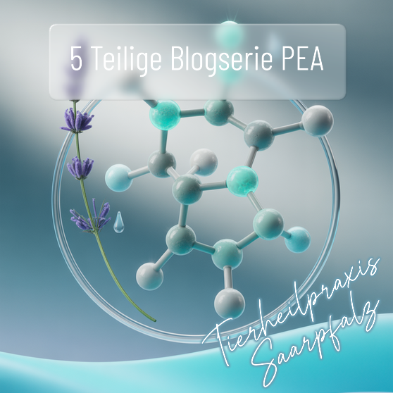 PEA in der Tierheilpraxis: Fallbeispiele und ehrliche Einschaetzung