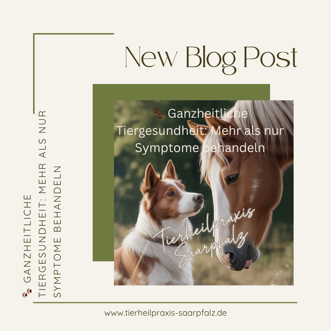 Ganzheitliche Tiertherapie für Hund & Pferd | Ursachen finden