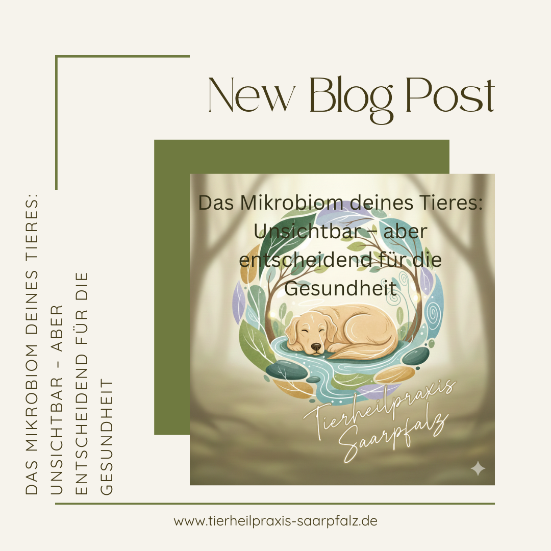 Das Mikrobiom deines Tieres