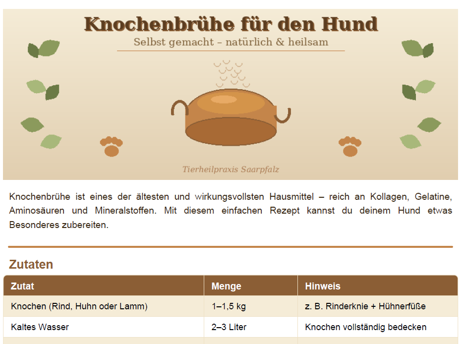 Knochenbrühe für den Hund – Wirkung, Herstellung & Dosierung | Tierheilpraxis Saarpfalz