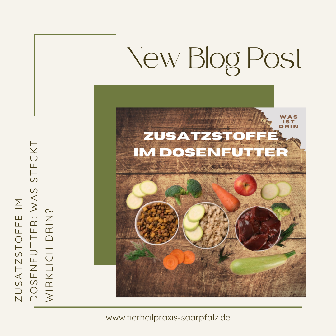 Zusatzstoffe im Dosenfutter: Was steckt wirklich drin?