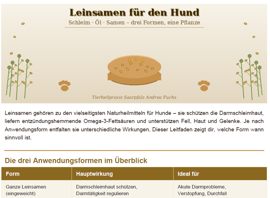 Kleine Samen, große Wirkung – Leinsamen als Naturheilmittel für den Hund | Tierheilpraxis Saarpfalz