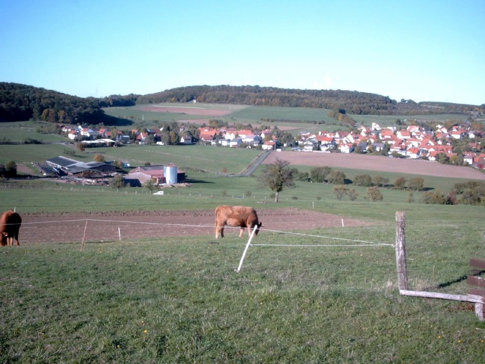 Herbst 2003