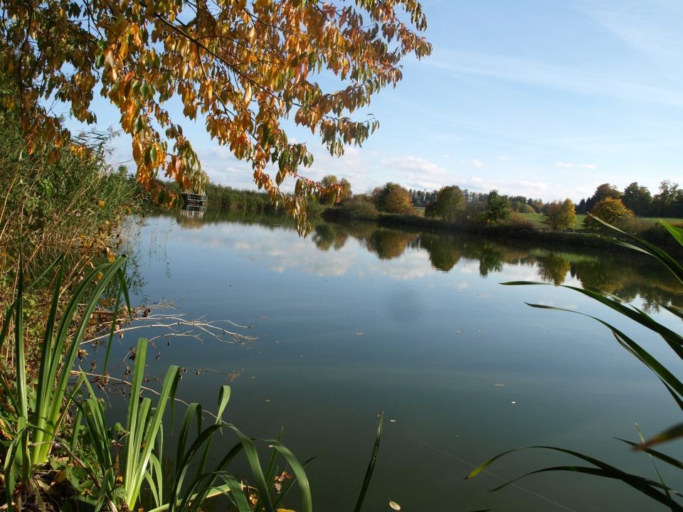 Weiher