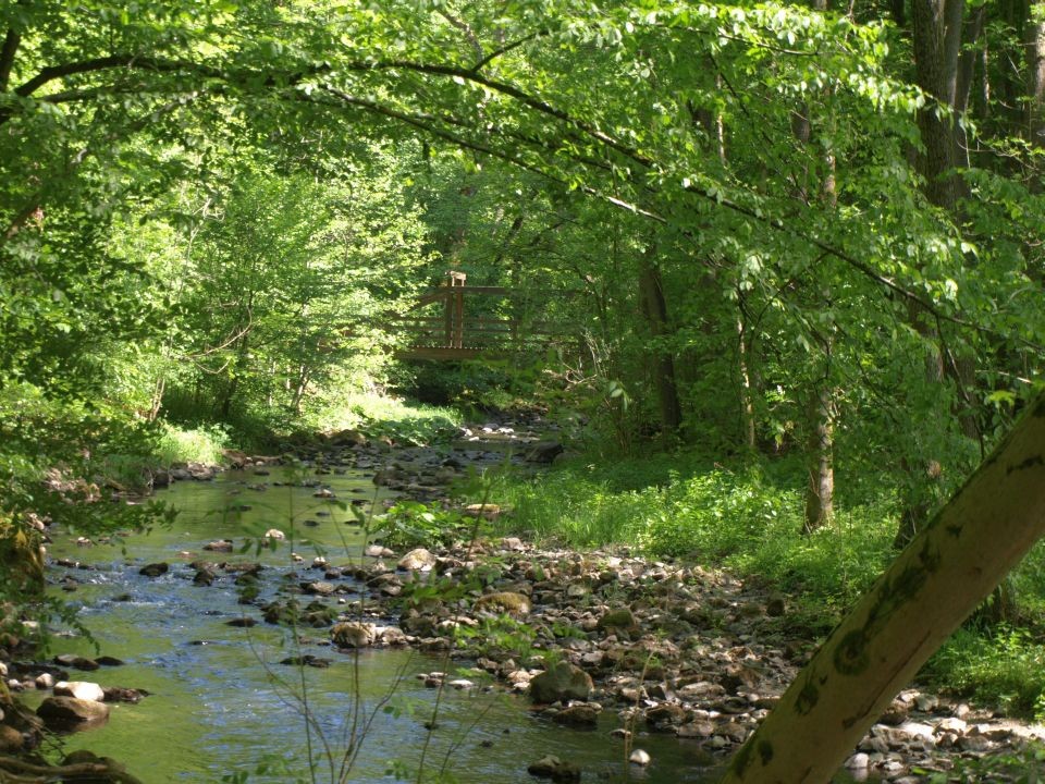 Buchwasser mit Schafsteg