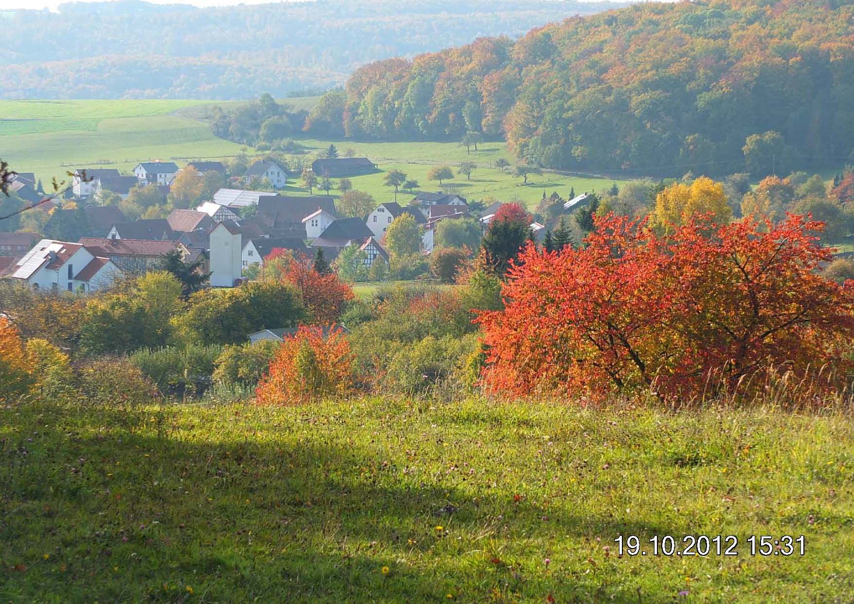 7 Blick vom Bühl