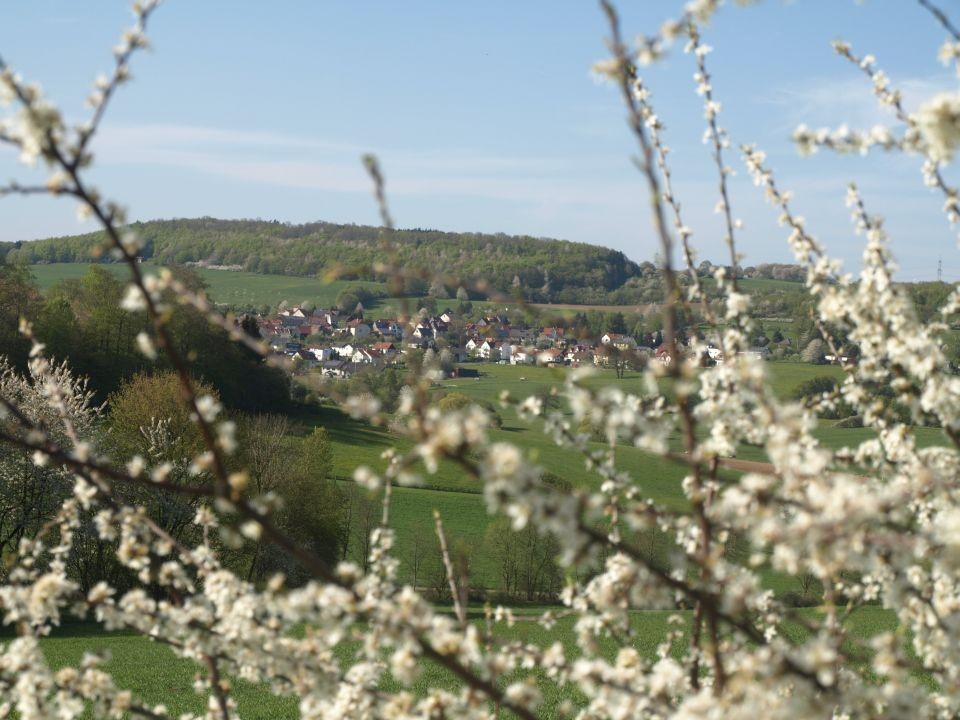 Frühjahr 2015