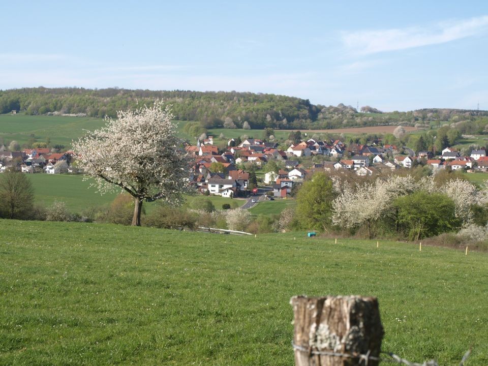 Frühjahr 2015