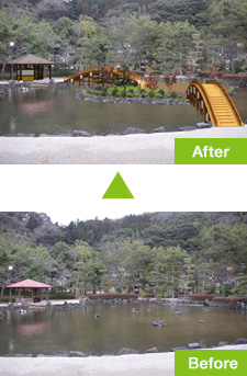 公園・太鼓橋(庭園)