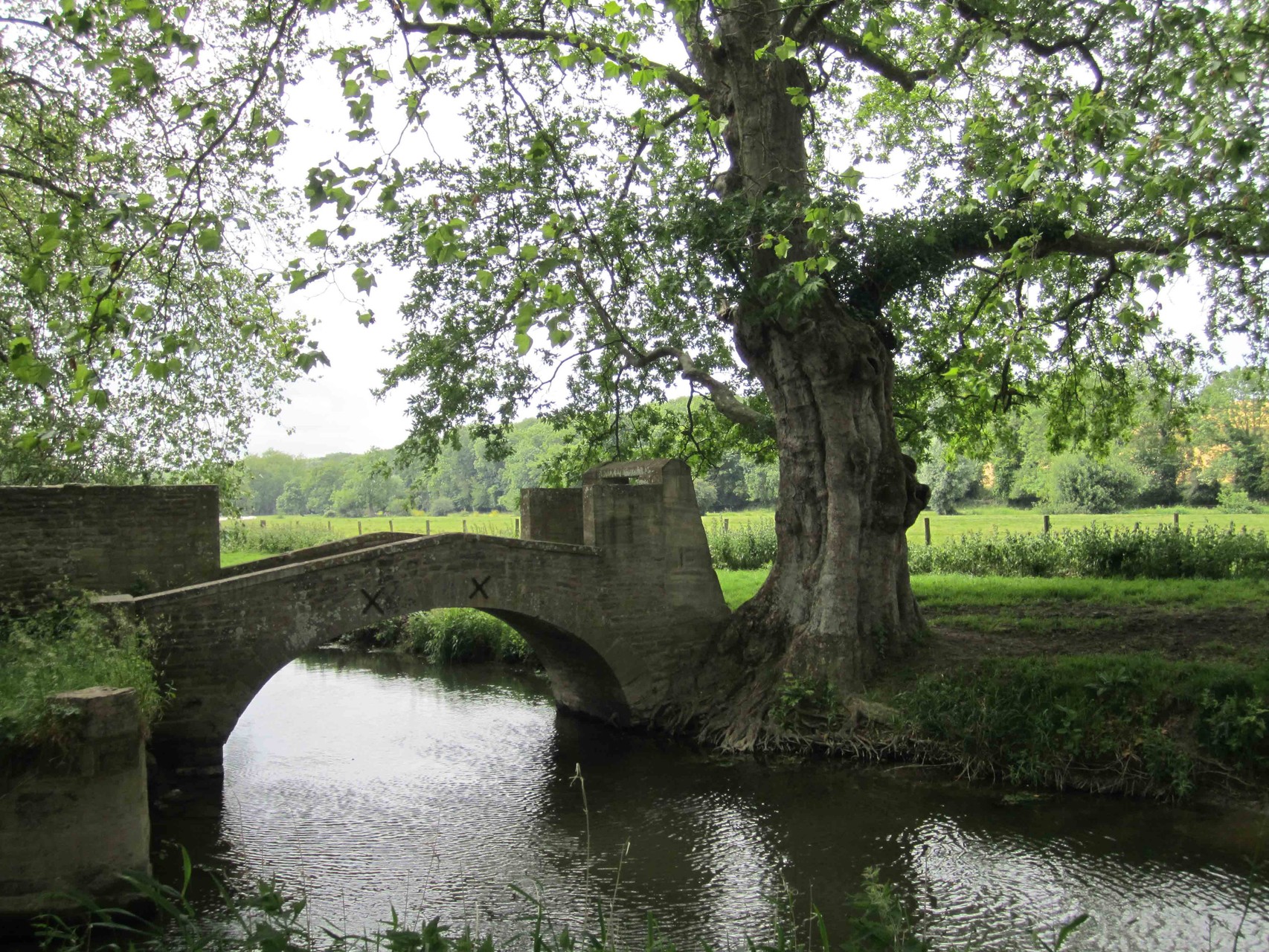 Pont piétonnier