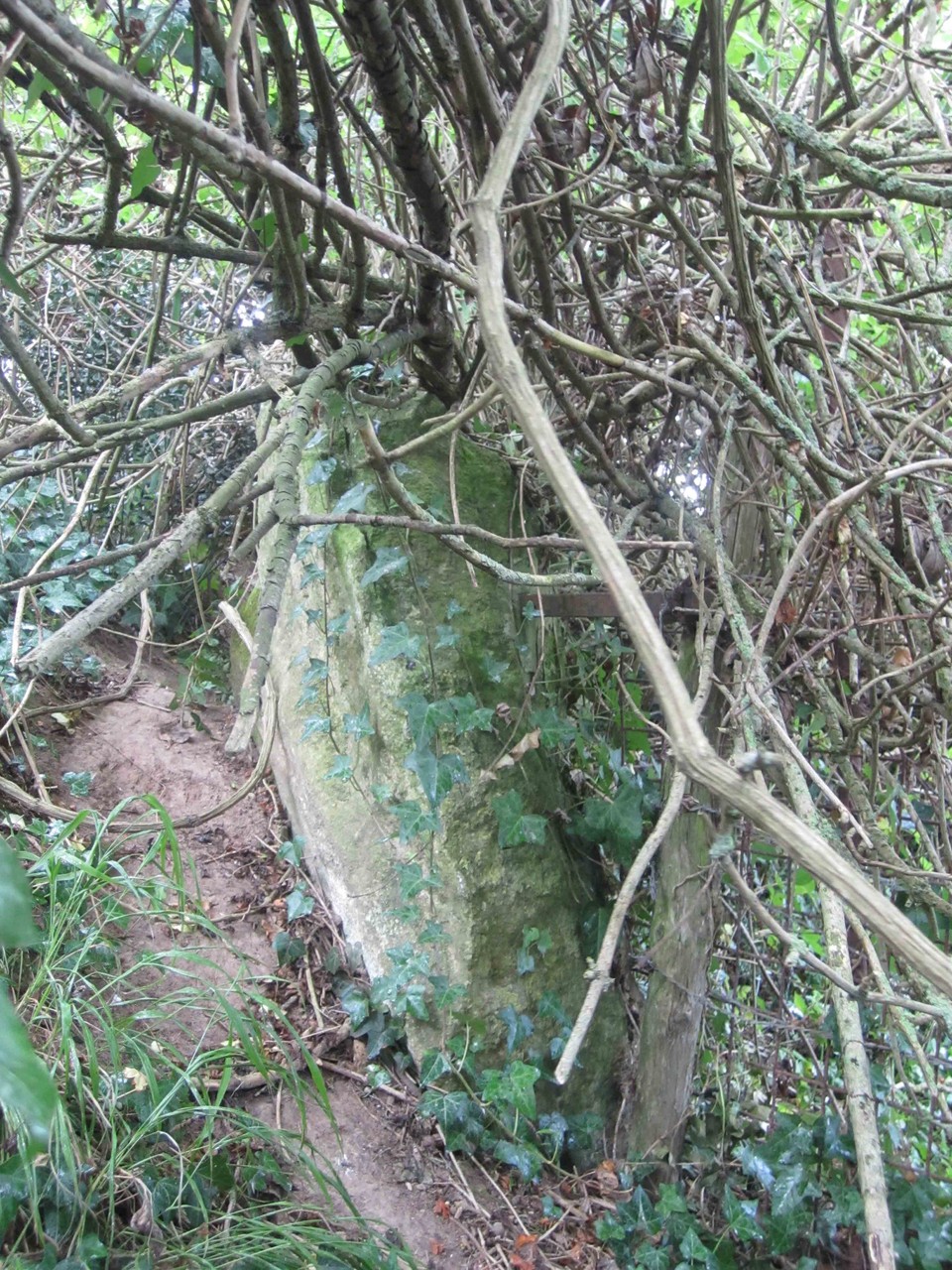 Menhir