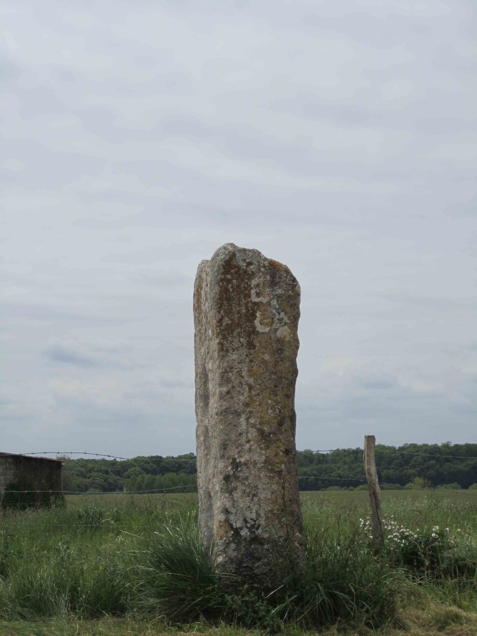 Menhir, dit des Demoiselles