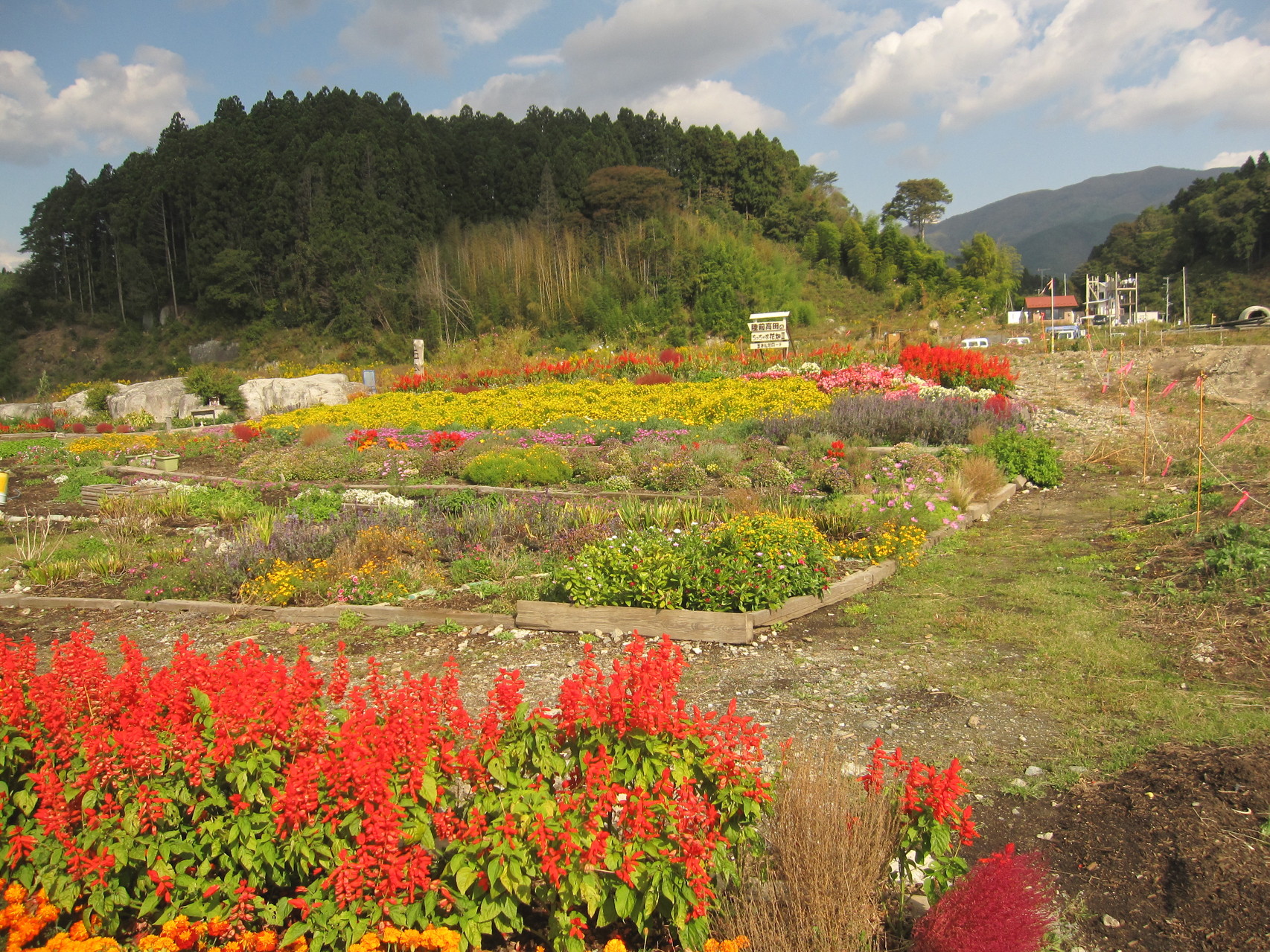 花畑（目的地とは反対方向）