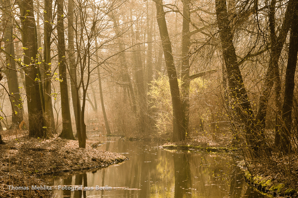 Tiergarten romantisch