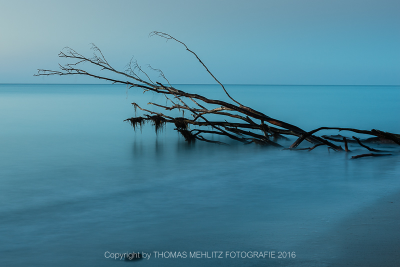 Deutschland, Fischland-Darß-Zingst, blaue Stunde am Weststrand