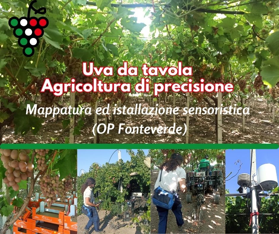 Agricoltura di precisione