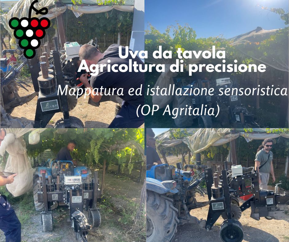 Uva da tavola. Agricoltura di precisione