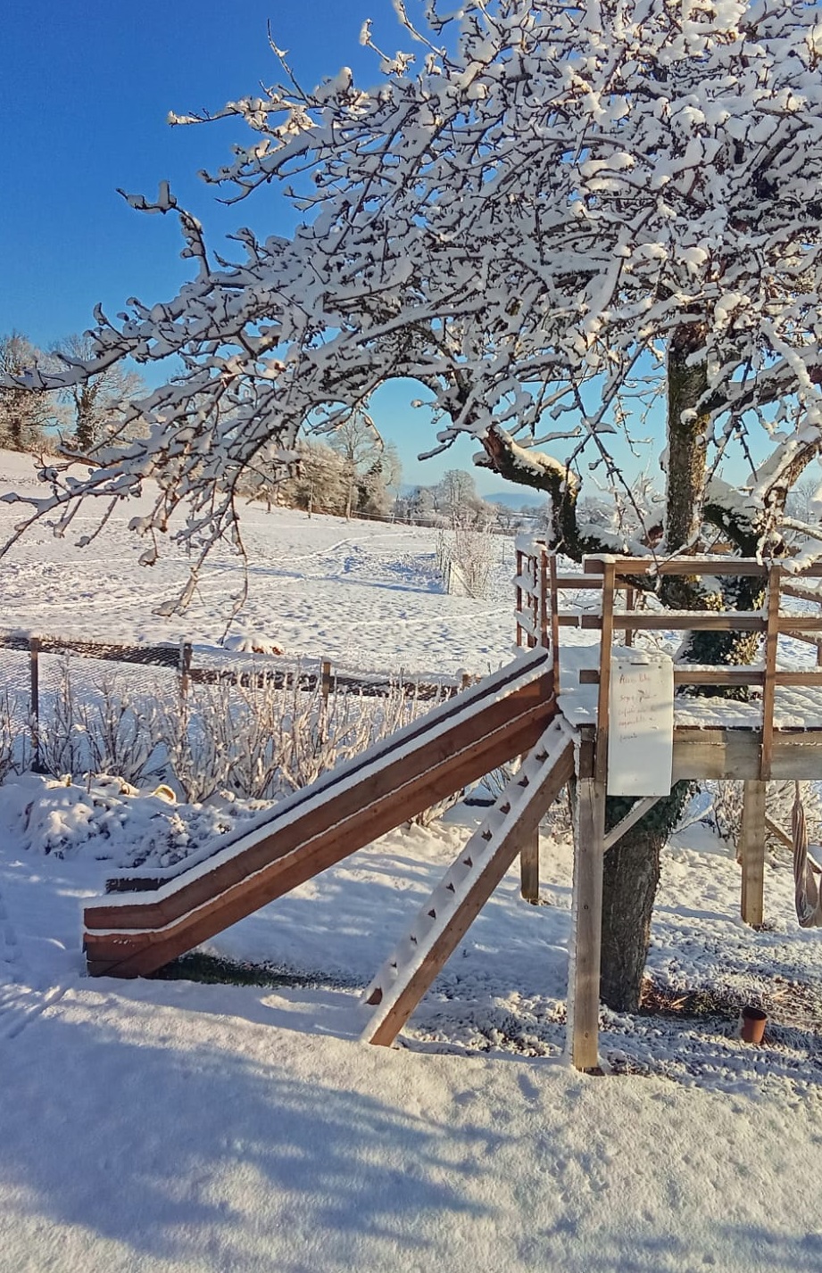 Toboggan sous la neige