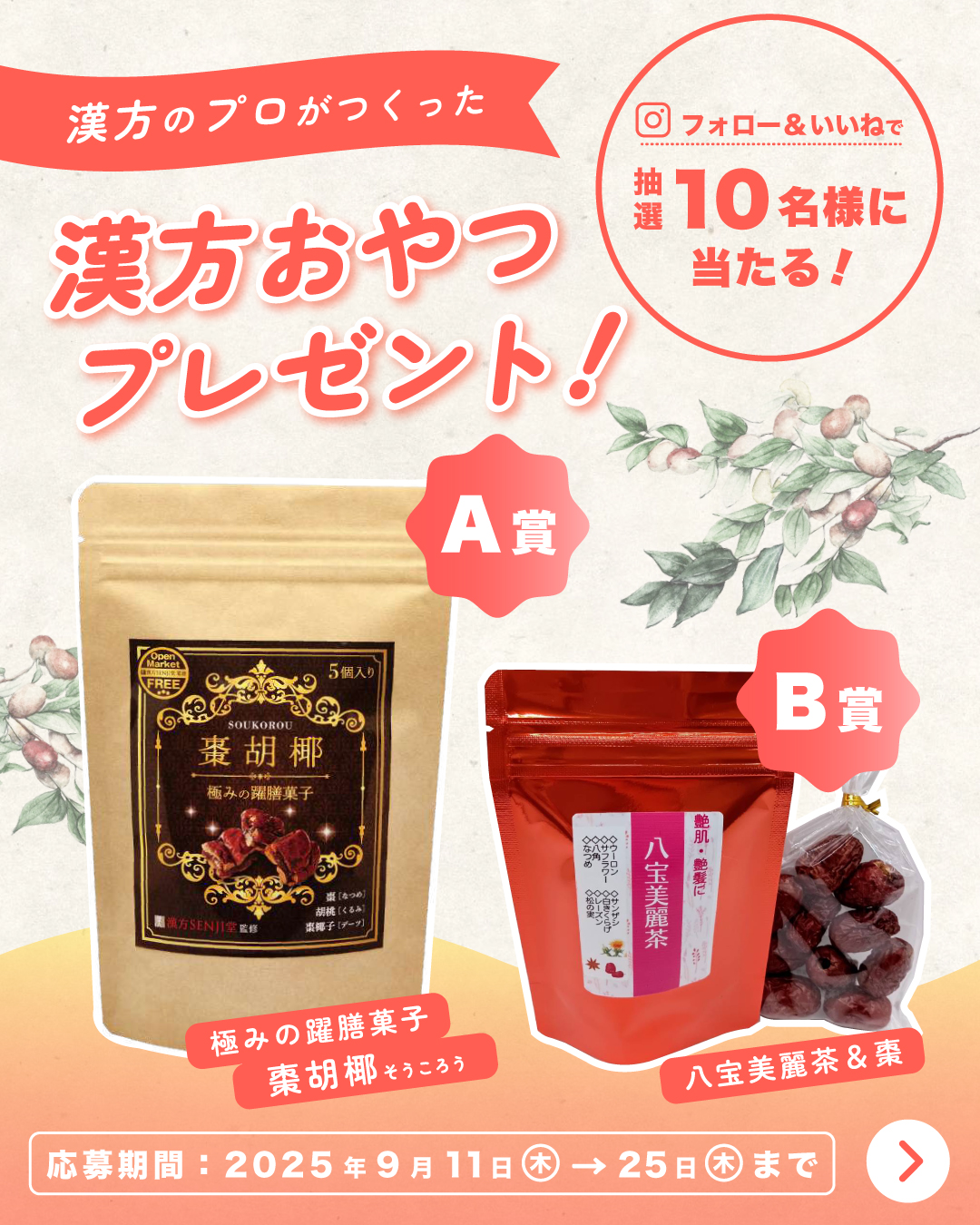 漢方おやつプレゼントキャンペーン